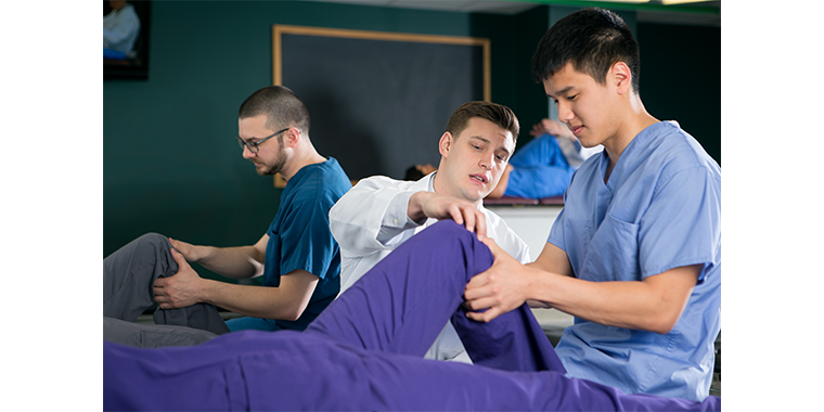 What does osteopathic mean?